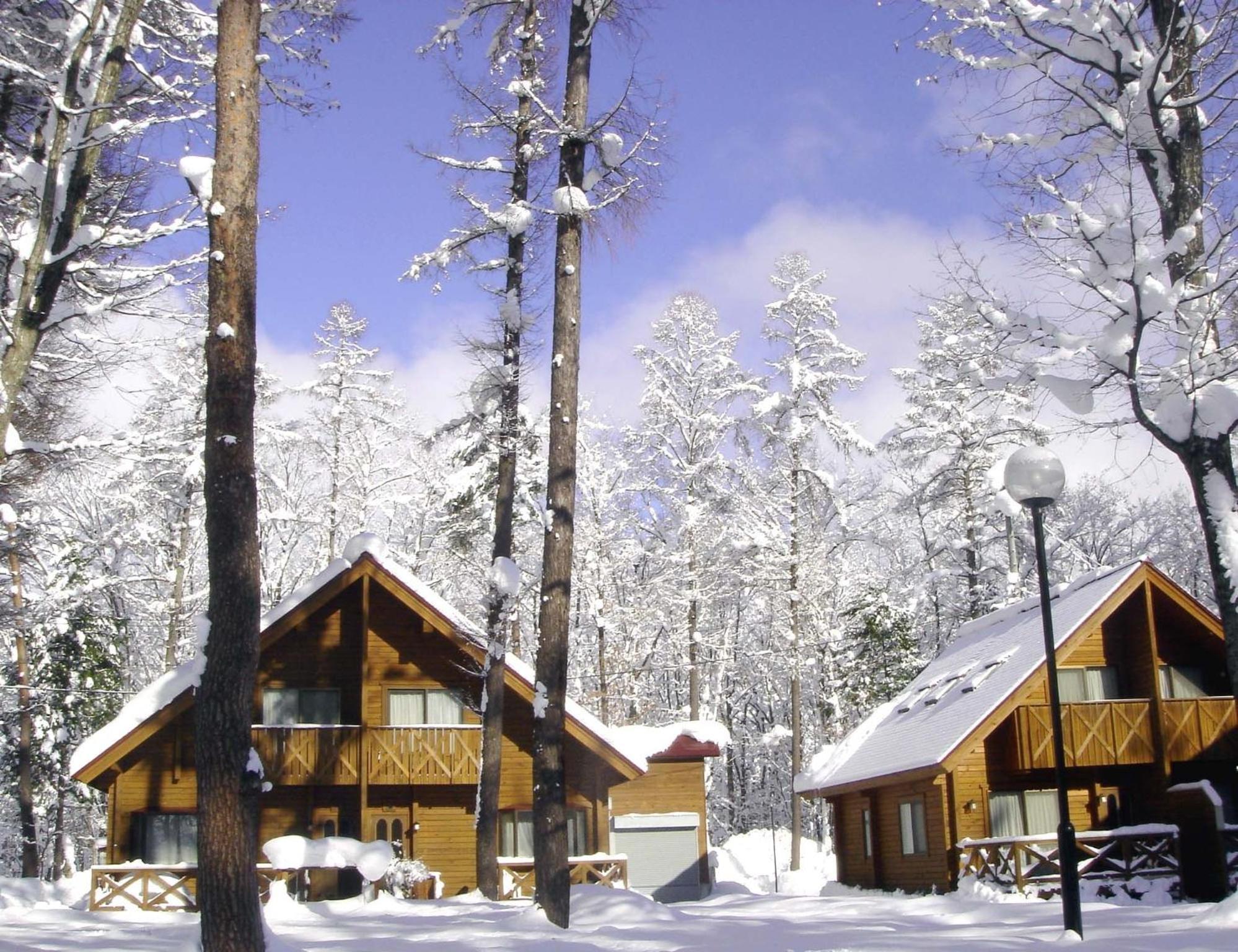 Log Cottage Epoch ฮาคุบะ ภายนอก รูปภาพ